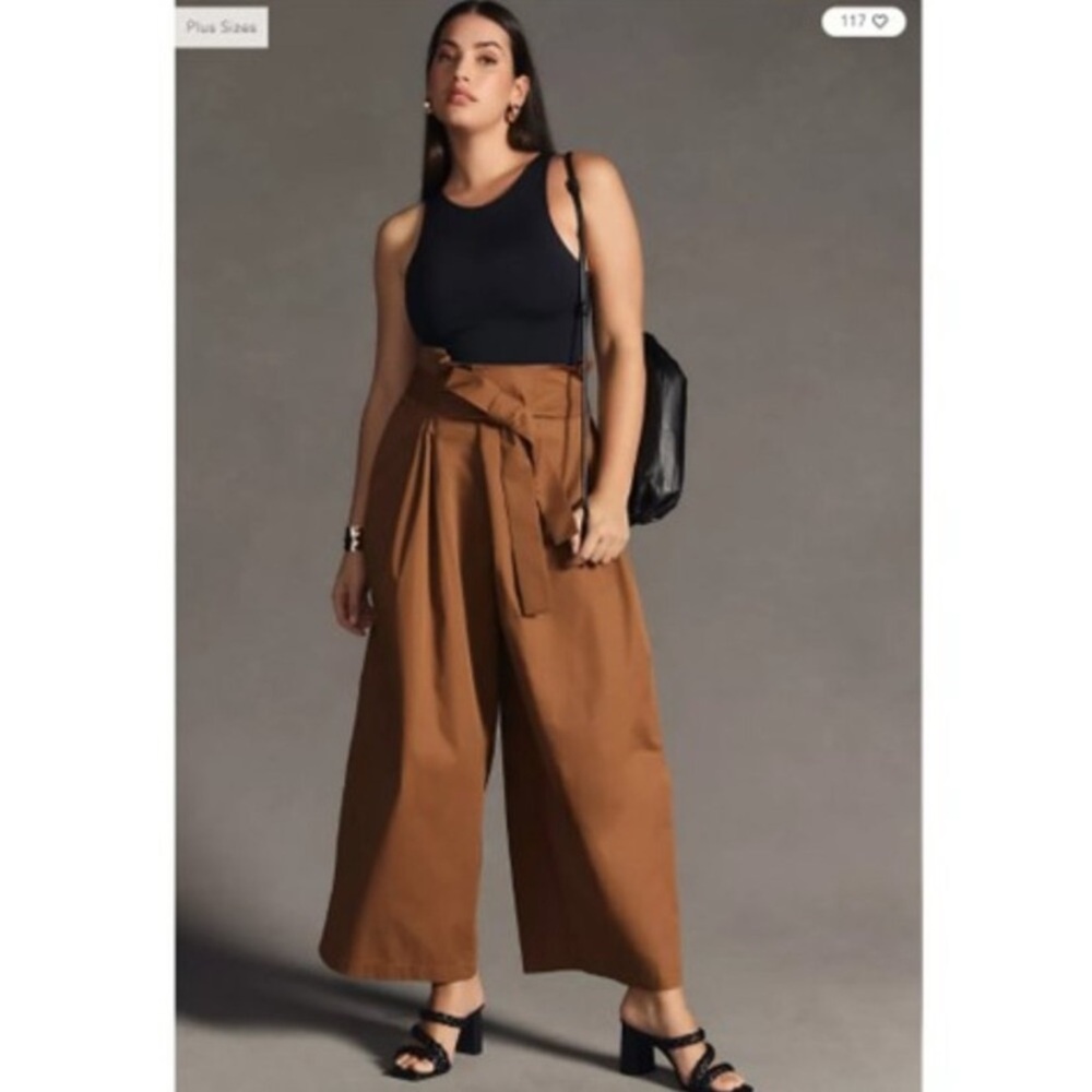 Anthropologie High-Waist Wide-Leg Pants in Brown